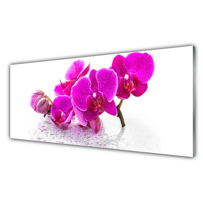 Glasbild aus Plexiglas® Blumen Pflanzen