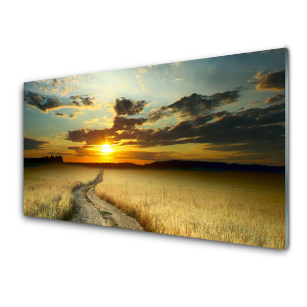 Glasbild aus Plexiglas® Weg Wiese Landschaft