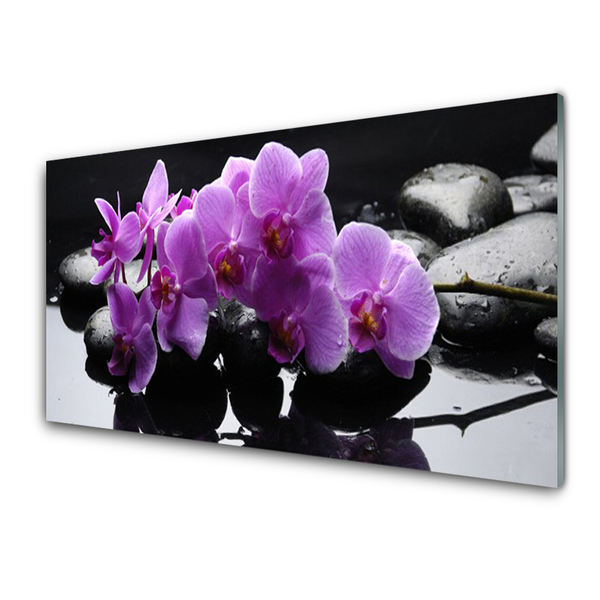 Glasbild aus Plexiglas® Blumen Steine Pflanzen