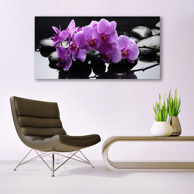 Glasbild aus Plexiglas® Blumen Steine Pflanzen