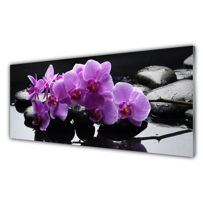 Glasbild aus Plexiglas® Blumen Steine Pflanzen