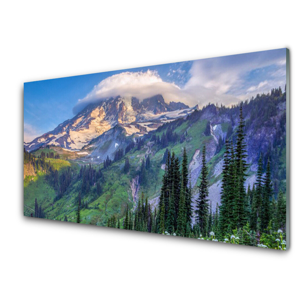 Glasbild aus Plexiglas® Gebirge Wald Landschaft