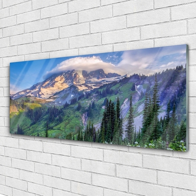 Glasbild aus Plexiglas® Gebirge Wald Landschaft