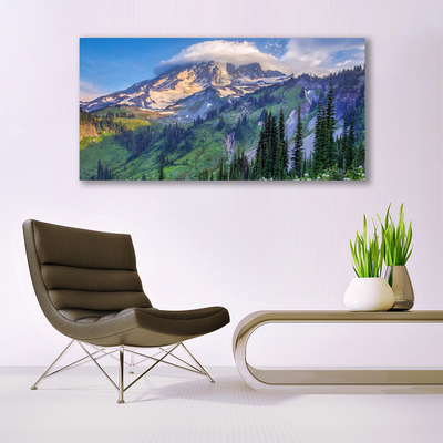 Glasbild aus Plexiglas® Gebirge Wald Landschaft