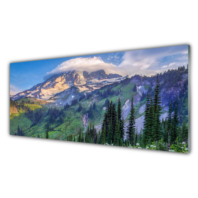 Glasbild aus Plexiglas® Gebirge Wald Landschaft