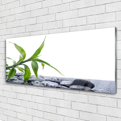 Glasbild aus Plexiglas® Blatt Pflanzen