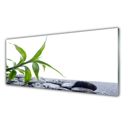 Glasbild aus Plexiglas® Blatt Pflanzen