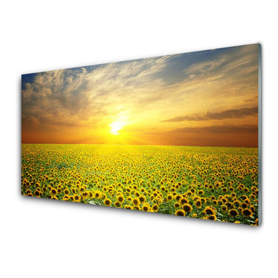 Glasbild aus Plexiglas® Sonne Wiese Sonnenblumen Natur