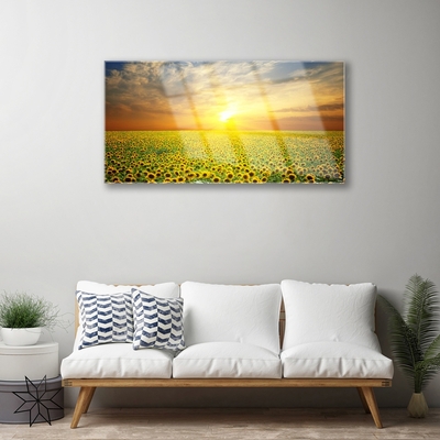 Glasbild aus Plexiglas® Sonne Wiese Sonnenblumen Natur