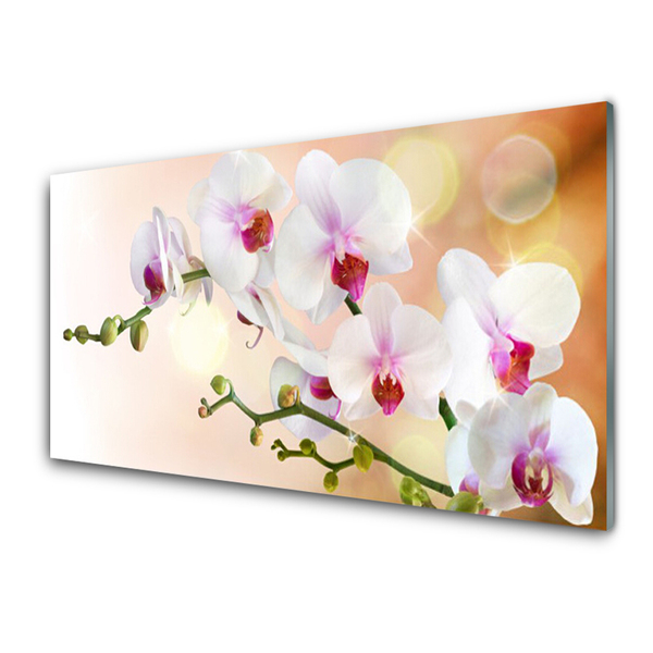 Glasbild aus Plexiglas® Blumen Pflanzen