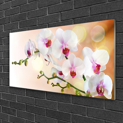 Glasbild aus Plexiglas® Blumen Pflanzen