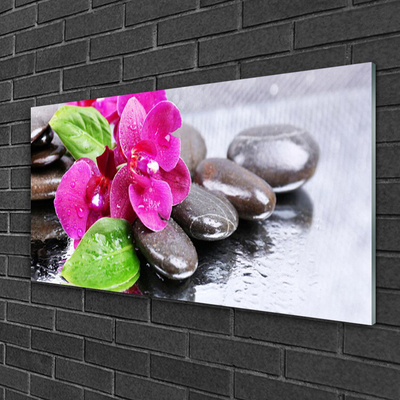 Glasbild aus Plexiglas® Blumen Steine Pflanzen