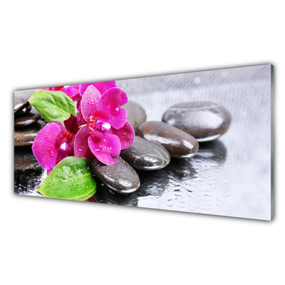 Glasbild aus Plexiglas® Blumen Steine Pflanzen