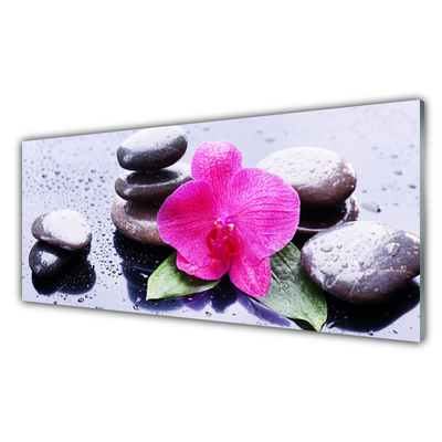 Glasbild aus Plexiglas® Blume Steine Kunst