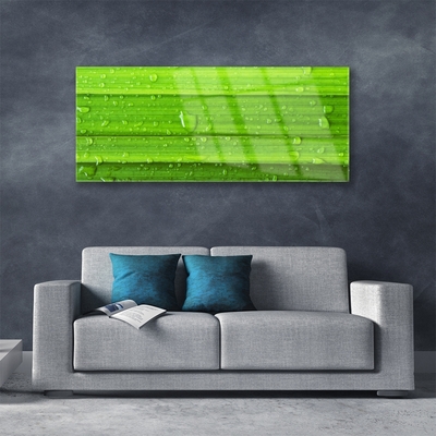 Glasbild aus Plexiglas® Gras Natur