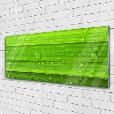 Glasbild aus Plexiglas® Gras Natur