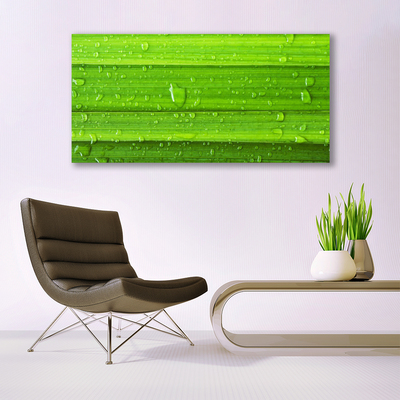 Glasbild aus Plexiglas® Gras Natur