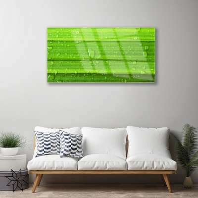 Glasbild aus Plexiglas® Gras Natur