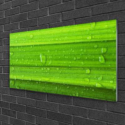 Glasbild aus Plexiglas® Gras Natur