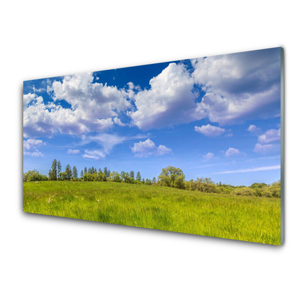 Glasbild aus Plexiglas® Wiese Gras Landschaft