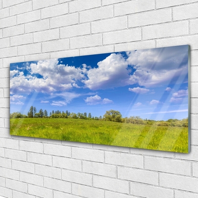 Glasbild aus Plexiglas® Wiese Gras Landschaft