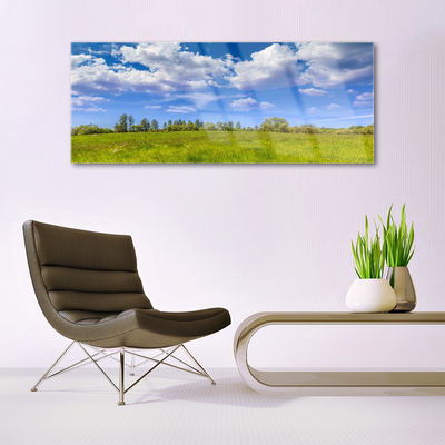 Glasbild aus Plexiglas® Wiese Gras Landschaft