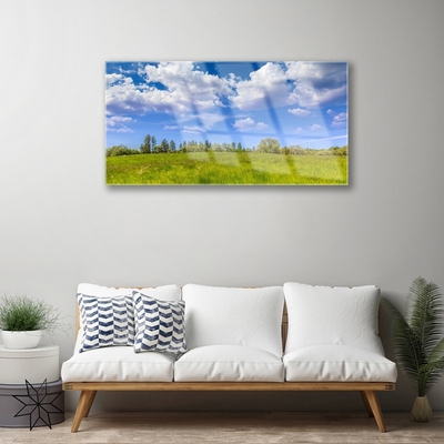 Glasbild aus Plexiglas® Wiese Gras Landschaft