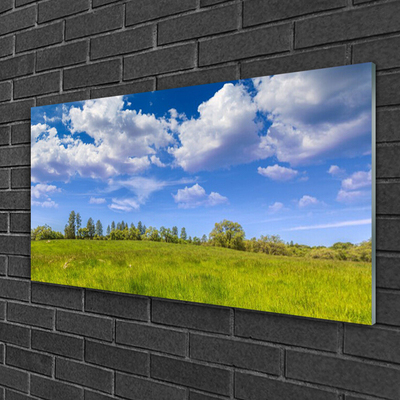 Glasbild aus Plexiglas® Wiese Gras Landschaft