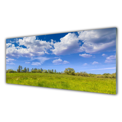 Glasbild aus Plexiglas® Wiese Gras Landschaft