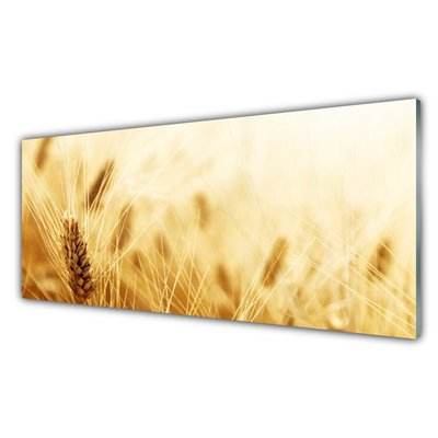 Glasbild aus Plexiglas® Weizen Pflanzen