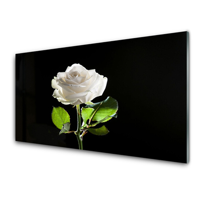 Glasbild aus Plexiglas® Rose Pflanzen