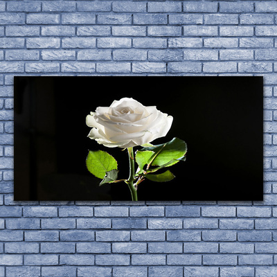 Glasbild aus Plexiglas® Rose Pflanzen