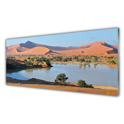 Glasbild aus Plexiglas® Bucht Wüste Landschaft