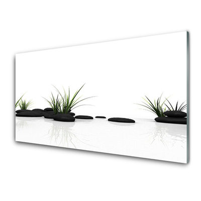 Glasbild aus Plexiglas® Gras Steine Kunst