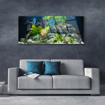 Glasbild aus Plexiglas® Fische Steine Blätter Natur