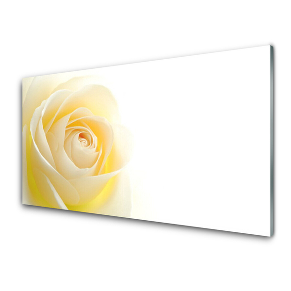 Glasbild aus Plexiglas® Rose Pflanzen