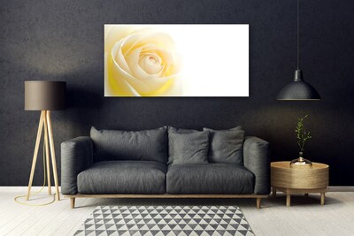 Glasbild aus Plexiglas® Rose Pflanzen