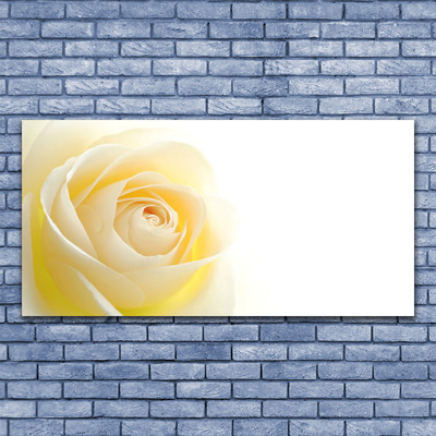 Glasbild aus Plexiglas® Rose Pflanzen