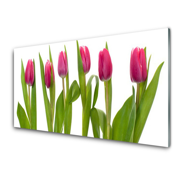 Glasbild aus Plexiglas® Tulpen Pflanzen