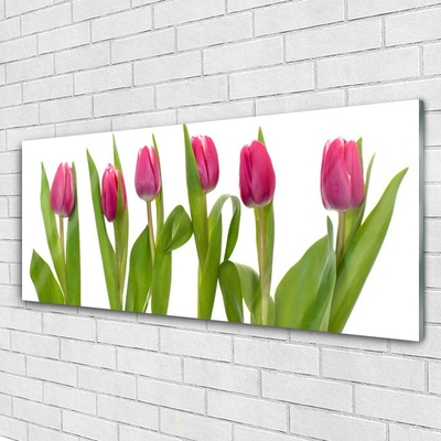 Glasbild aus Plexiglas® Tulpen Pflanzen