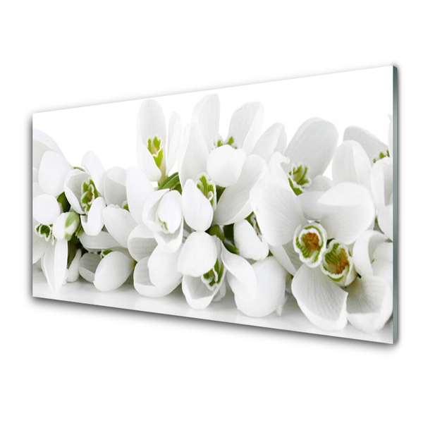 Glasbild aus Plexiglas® Blumen Pflanzen