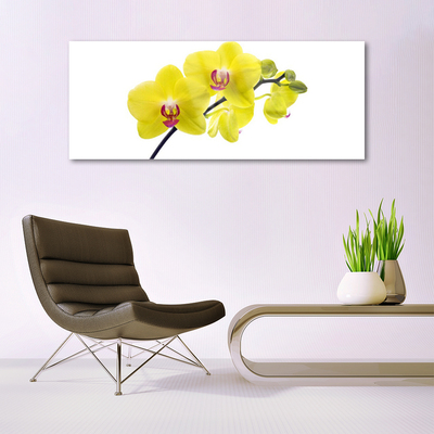 Glasbild aus Plexiglas® Blumen Pflanzen