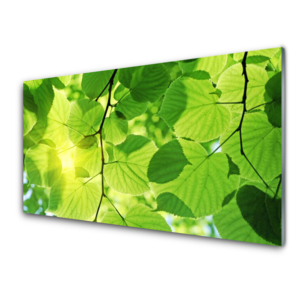 Glasbild aus Plexiglas® Blätter Pflanzen