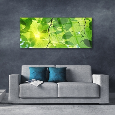 Glasbild aus Plexiglas® Blätter Pflanzen