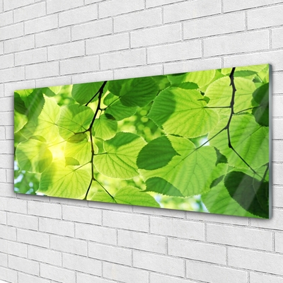Glasbild aus Plexiglas® Blätter Pflanzen