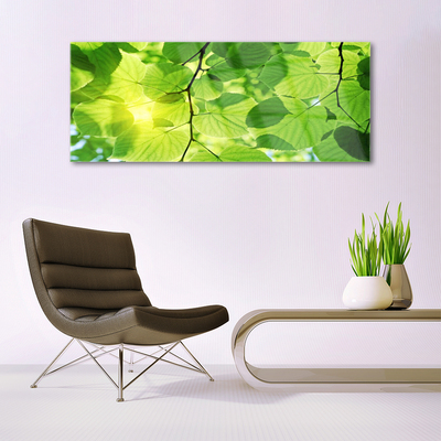Glasbild aus Plexiglas® Blätter Pflanzen