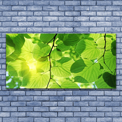 Glasbild aus Plexiglas® Blätter Pflanzen