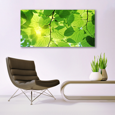 Glasbild aus Plexiglas® Blätter Pflanzen