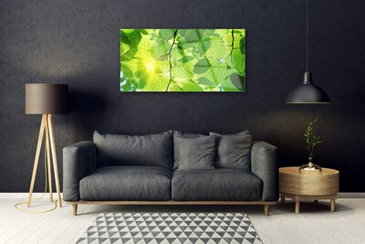 Glasbild aus Plexiglas® Blätter Pflanzen
