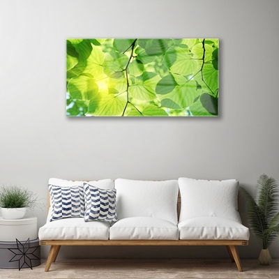 Glasbild aus Plexiglas® Blätter Pflanzen